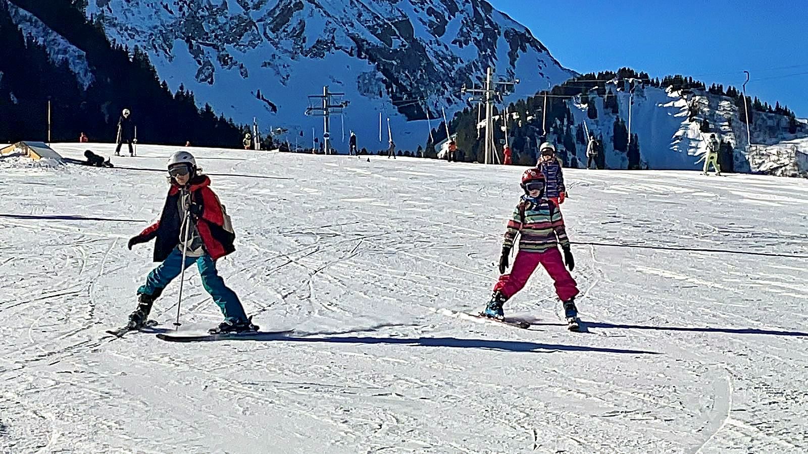 Motoneige Electrique et Ski Alpin 2