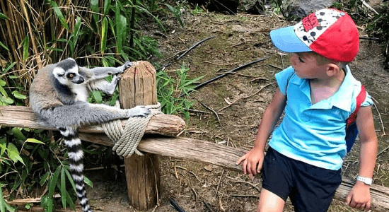 Ma Colo aux Zoos (printemps) 1