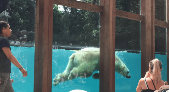 Ma Colo aux Zoos (printemps) 2