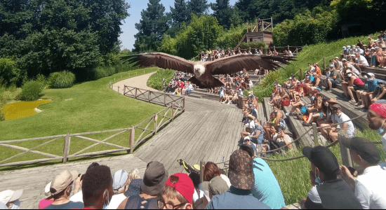 Ma Colo aux Zoos (printemps) 3