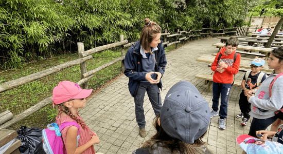 Ma Colo aux Zoos (printemps) 4