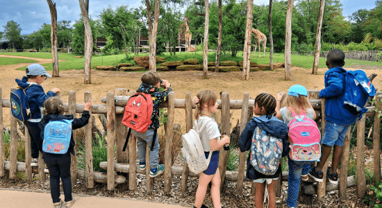 Ma Colo aux Zoos (printemps) 6