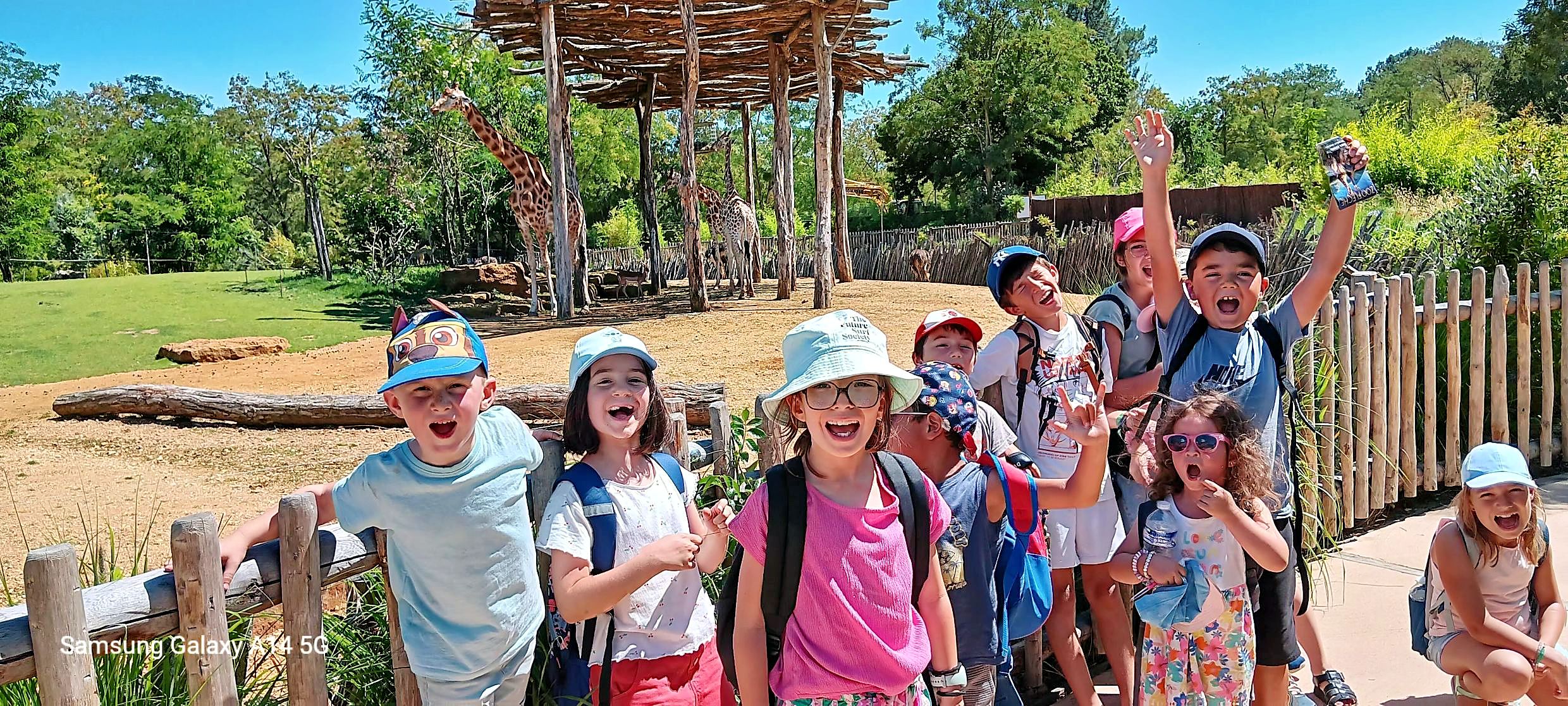 Ma Colo aux Zoos (ete) 3