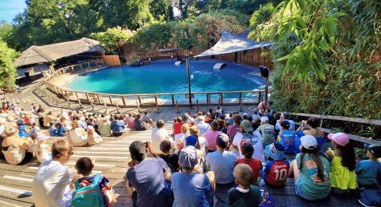 Ma Colo aux Zoos (ete) 4