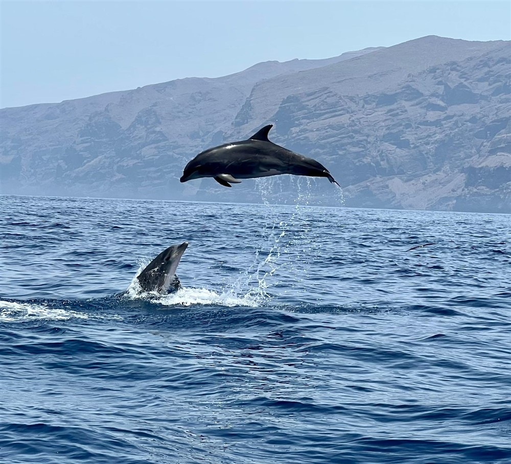 Tenerife 1