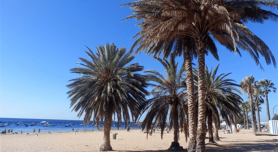 Tenerife 7