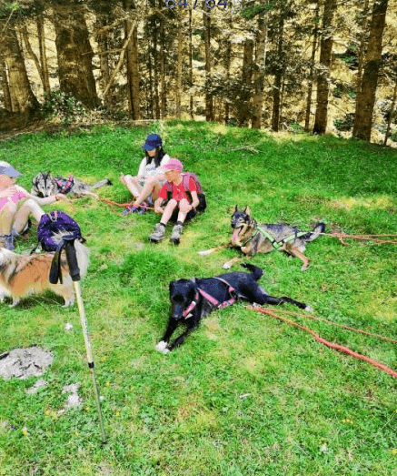 Trappeurs Pyrénéens 6