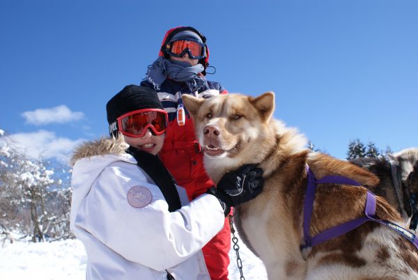 Trappeurs et Chiens de Traineaux 1