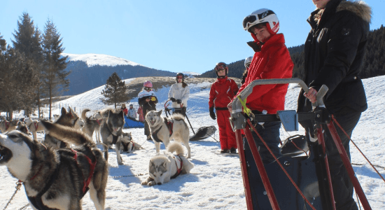 Trappeurs et Chiens de Traineaux 3