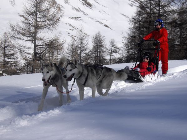 Trappeurs et Chiens de Traineaux 5