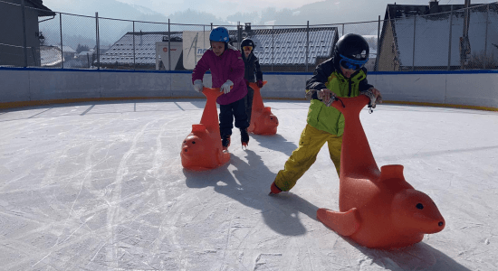 Biathlon 4