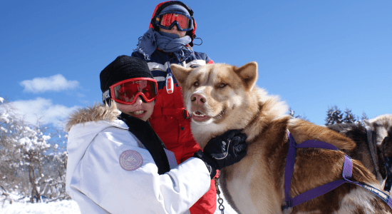 Ski et Chiens Traineaux 1