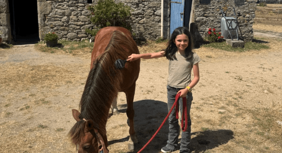 P'Tits Cavaliers du Littoral 5