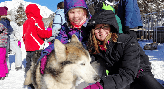Oursons des Neiges 1