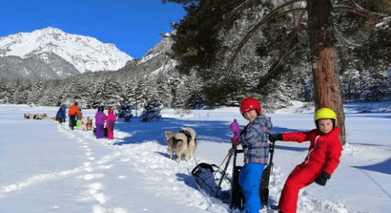 Oursons des Neiges 5