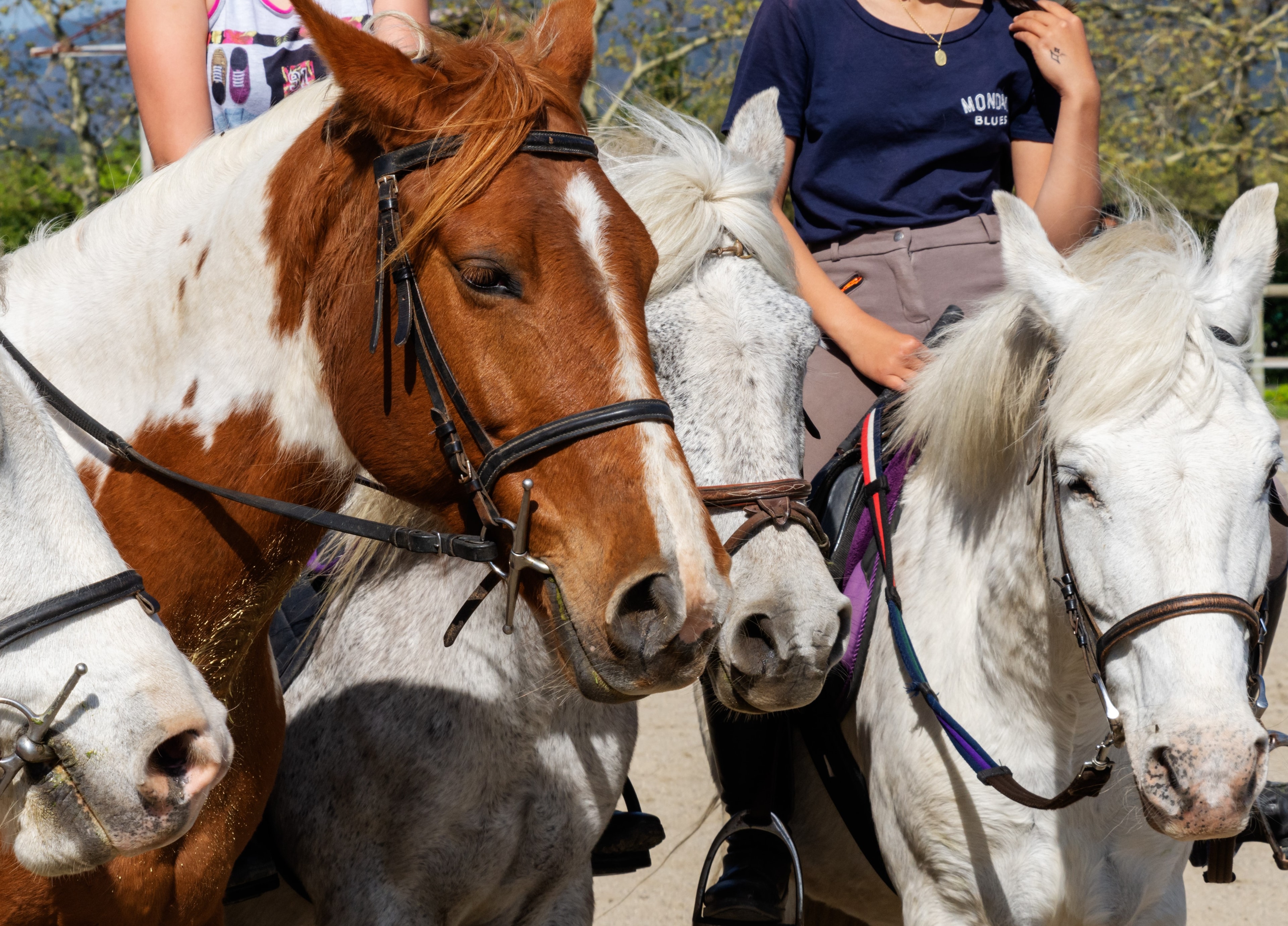 Equitation Nature 10-14 Ans 2