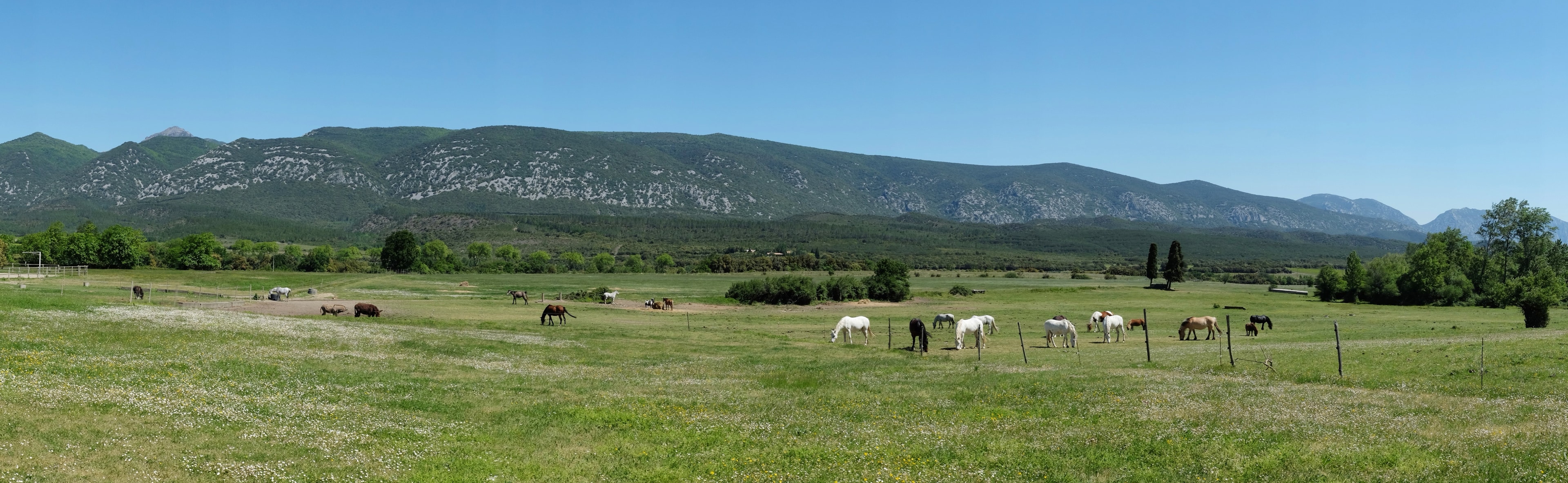 Equitation Nature 10-14 Ans 4