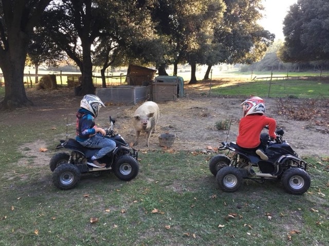Colonie de Vacances Quad et Nature 2