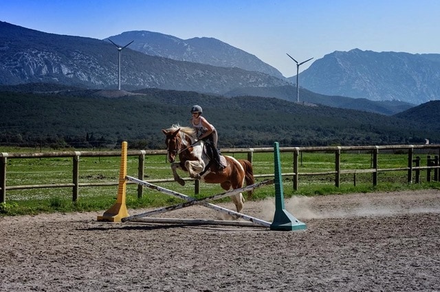 Séjour 100 % Equitation 1