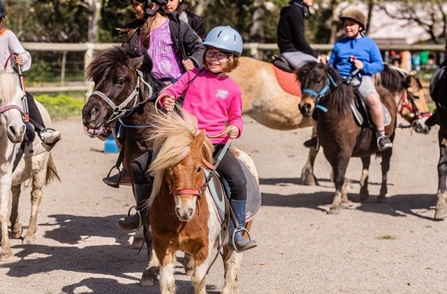 Séjour 100 % Equitation 2