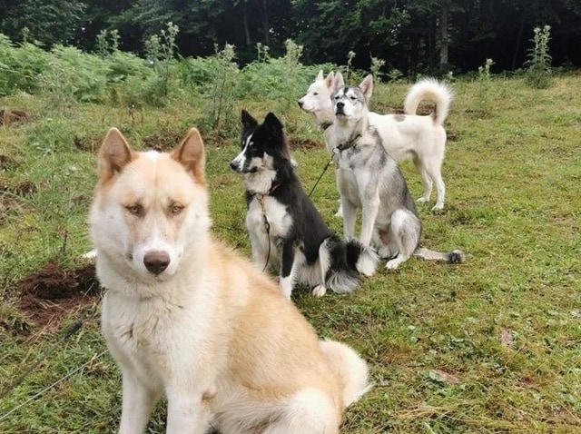 Colo Sportive à la Montagne 1