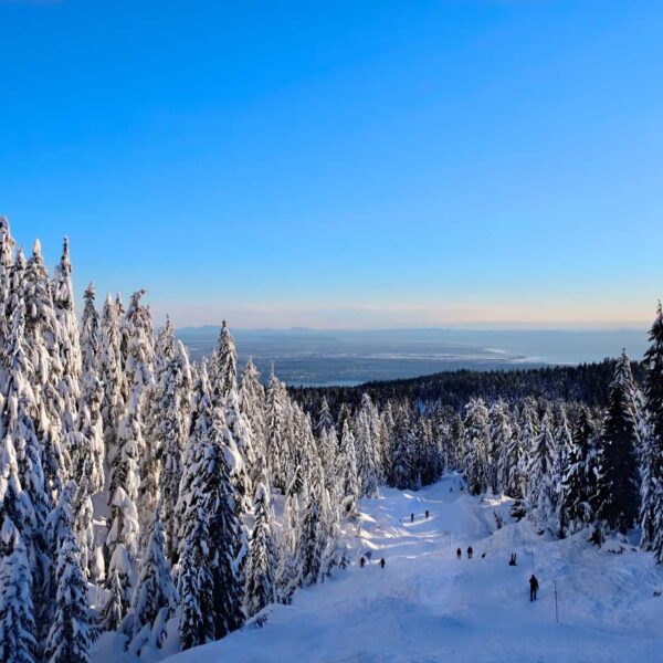 Oslo : Aventure Hivernale 6