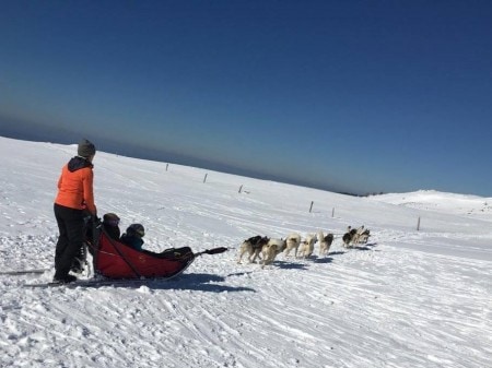 La Vie de Musher 1