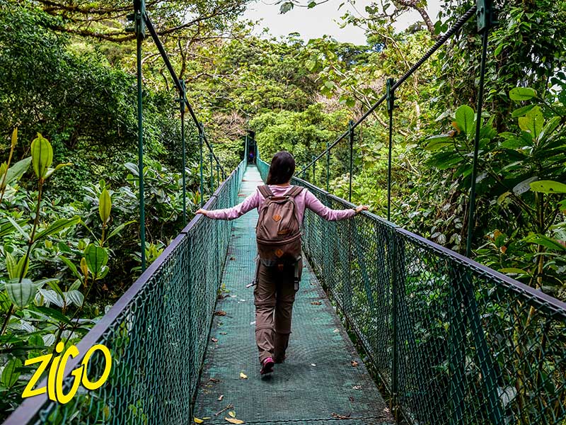 Colonie de Vacances au Costa Rica 1