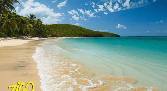 Colonie de Vacances à Porto Rico 1
