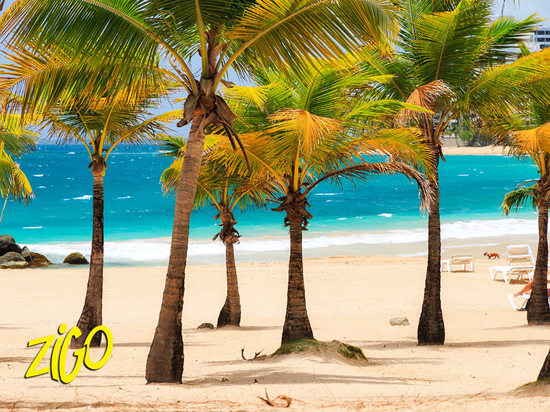 Colonie de Vacances à Porto Rico 4
