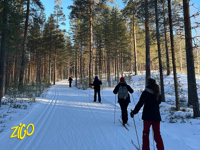 Colonie de Vacances en Finlande 5
