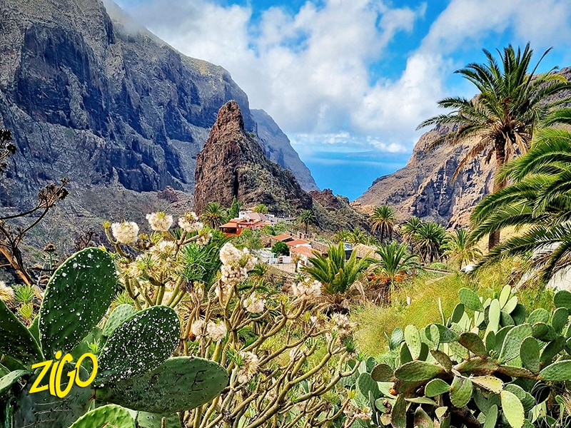 Colonie de Vacances Canaries 1