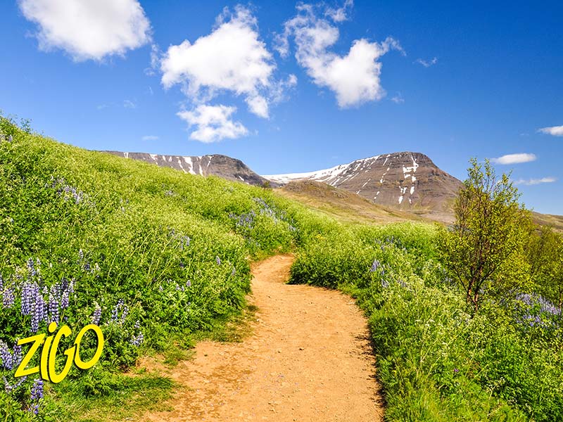 Colonie de Vacances en Islande 4