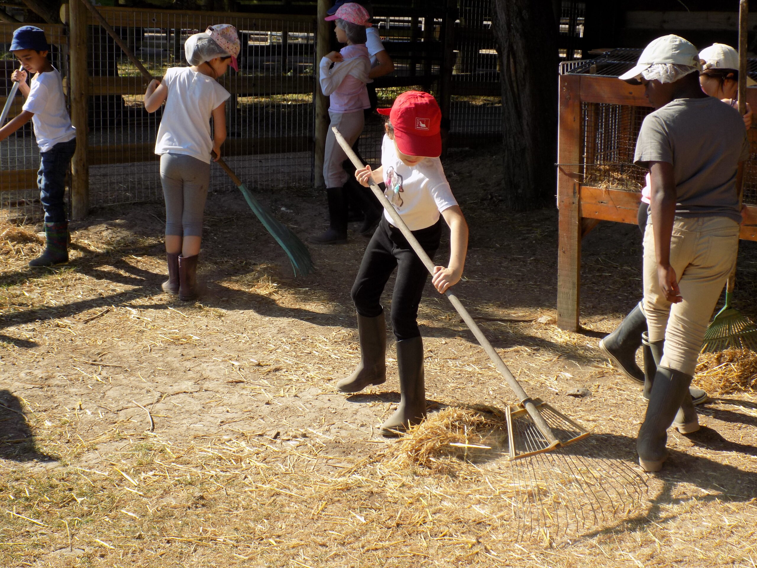 Les enfants en plein petits travaux du fermier sur le centre poney club des Terrasses