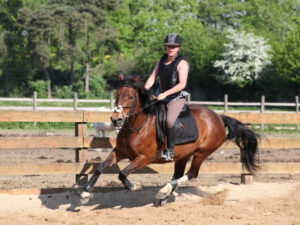 Formanoir – Équitation & Cuisine - Colonie de vacances - Poneys des 4 Saisons | RESACOLO