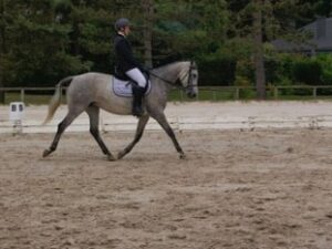 Formanoir – Équitation & Cuisine - Colonie de vacances - Poneys des 4 Saisons | RESACOLO