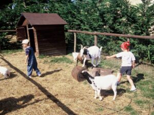 Les Terrasses – Cavaliers en herbe et petits fermiers - Colonie de vacances - Poneys des 4 Saisons | RESACOLO