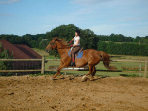 Val-en-Pré – Équitation au Far-West - Colonie de vacances - Poneys des 4 Saisons | RESACOLO