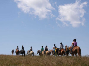 La Source – Mes premiers galops et mon premier potager - Colonie de vacances - Poneys des 4 Saisons | RESACOLO