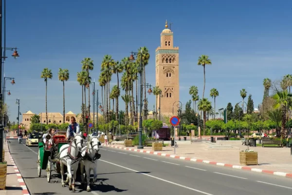 Découverte de Marrakech - Colonie de vacances - CEI | RESACOLO