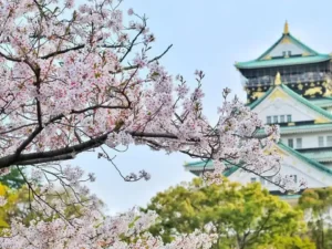 De Tokyo à Osaka - Colonie de vacances - CEI | RESACOLO