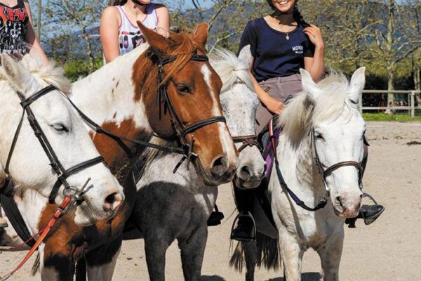 Equifun - Colonie de vacances - 100% Équitation
