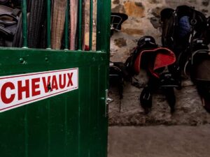 Equifun - Colonie de vacances - 100% Équitation