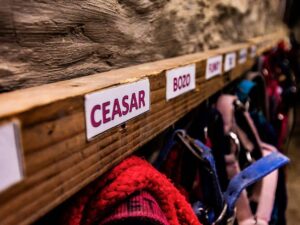 Equifun - Colonie de vacances - 100% Équitation