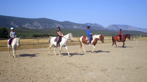 Equifun - Colonie de vacances - 100% Équitation