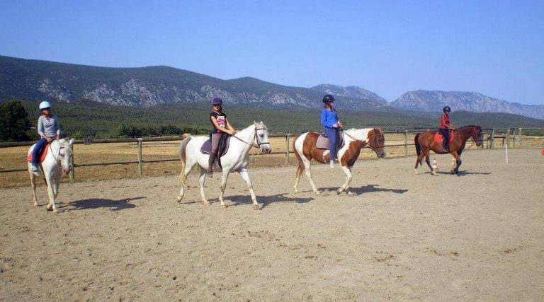 Equifun - Colonie de vacances - 100% Équitation