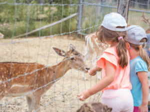 Chic Planet'colos - Colonie de vacances