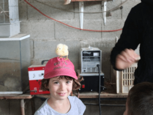 Chic Planet'colos - Colonie de vacances