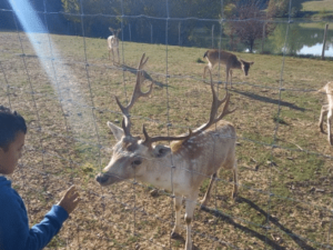 Chic Planet'colos - Colonie de vacances