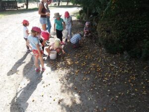 Chic Planet'colos - Colonie de vacances